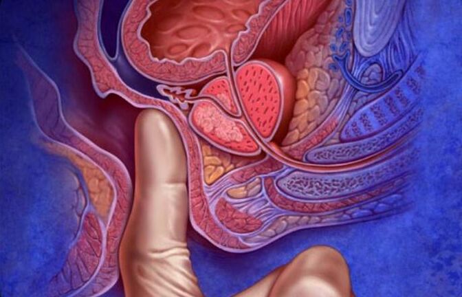 Prostata Massage
